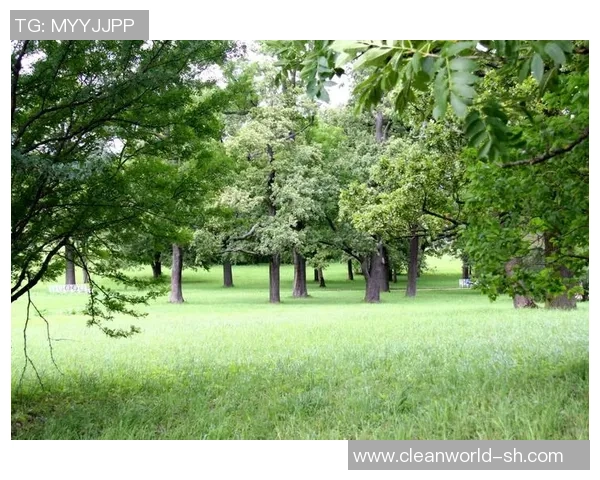 如何制作足球球星照片框并巧妙展示你的收藏与回忆 如何制作足球球星照片框并巧妙展示你的收藏与回忆